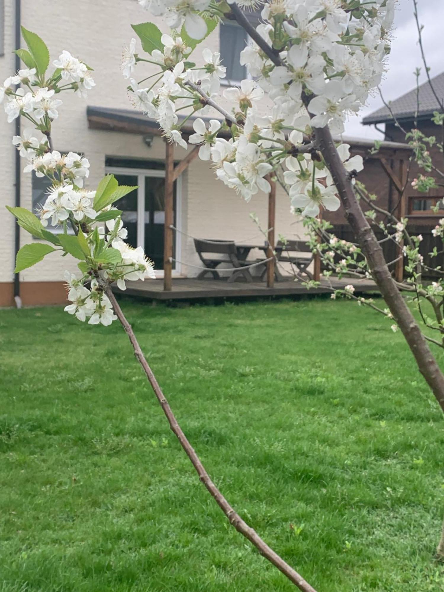 Pilaites Svetingi Namai Apartment Вилнюс Екстериор снимка